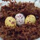 easter nest recipe