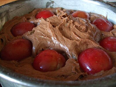 chocolate spiced plum cake